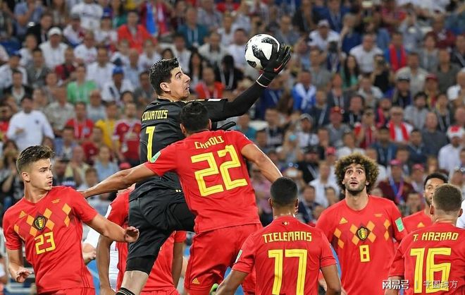 比利时对哥伦比亚：胜者晋级下一轮的简单介绍