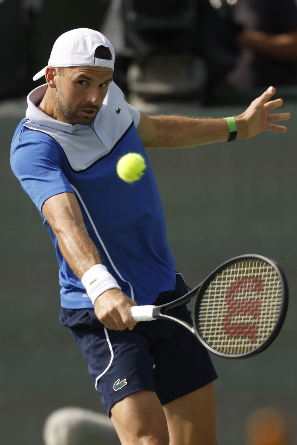 英国网球队绝杀西班牙网球队,梅德韦杰夫惊艳世界的简单介绍 英国网球队绝杀西班牙网球队,梅德韦杰夫惊艳世界的简单介绍