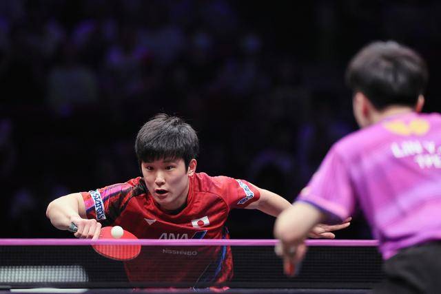 英格兰队险胜中国队,张本智和状态火热 英格兰队险胜中国队,张本智和状态火热