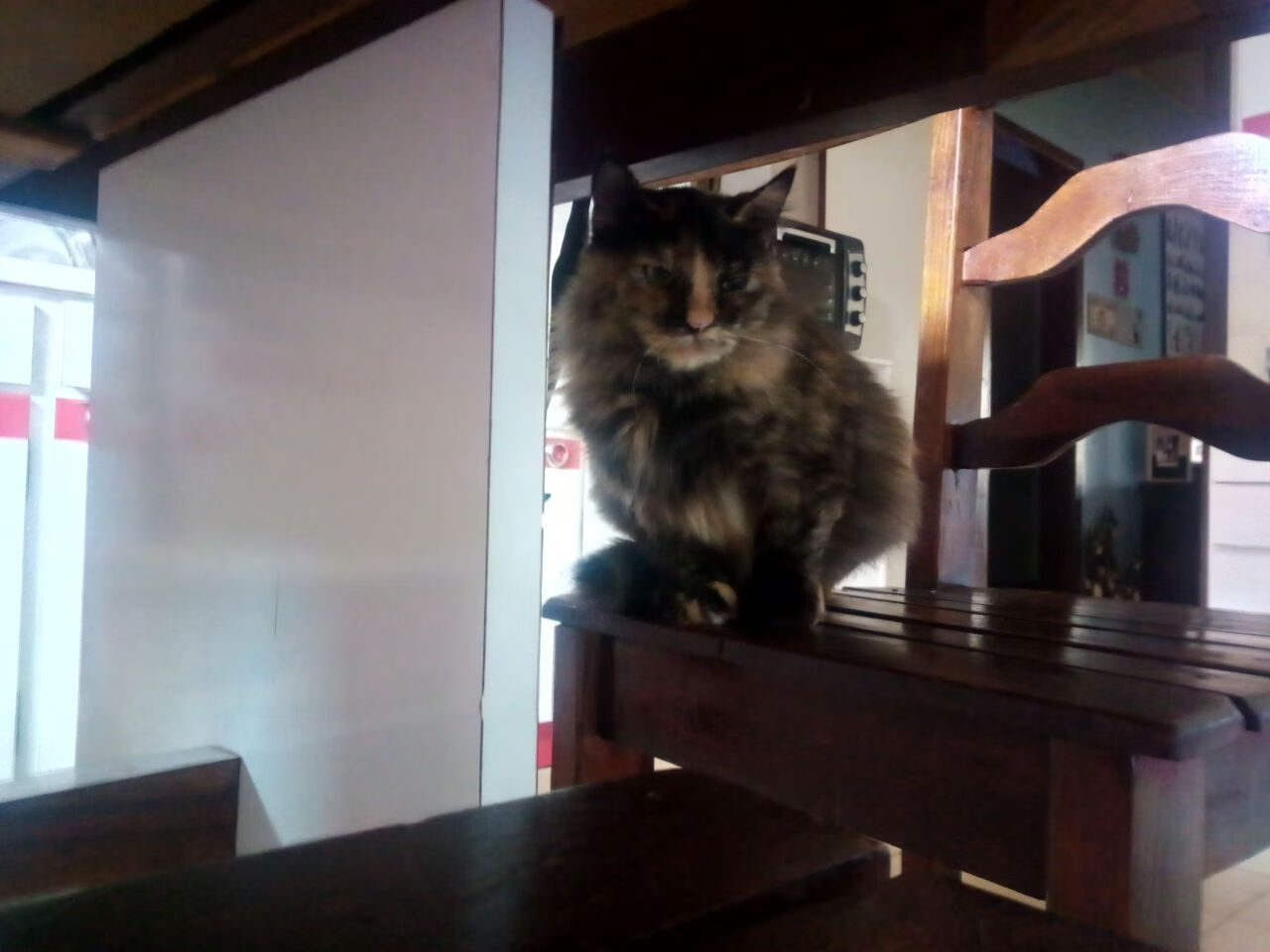 2026世界杯焦点战，法国狂风席卷，巴黎黯然失色