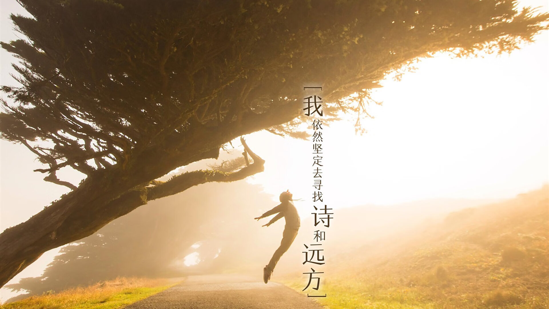 莱万闪电战让比赛早早失去悬念，威尔士稳健拿下牙买加巩固胜局