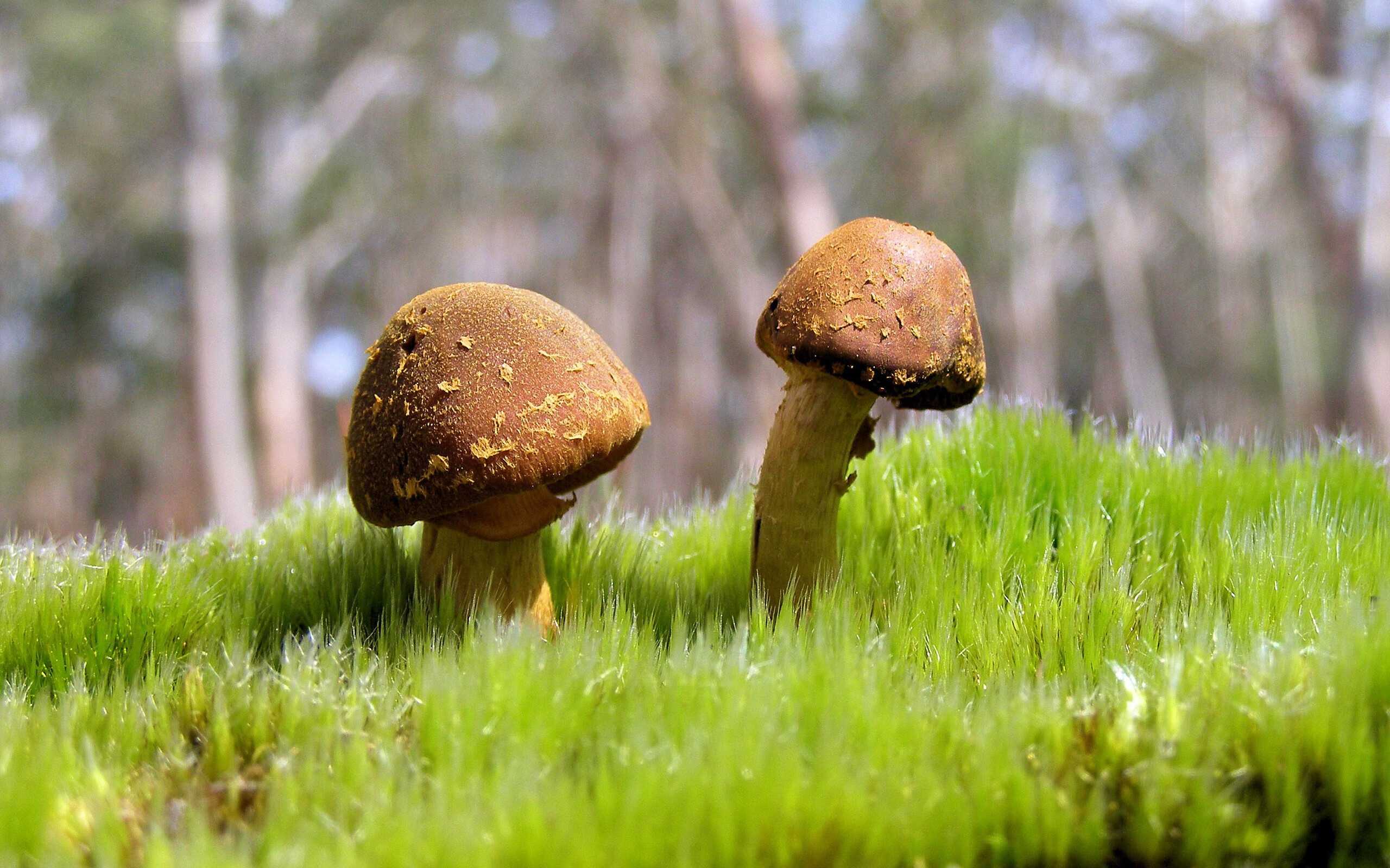 NBA总决赛之夜,库里史诗级压制表现,三分如雨,统治时代