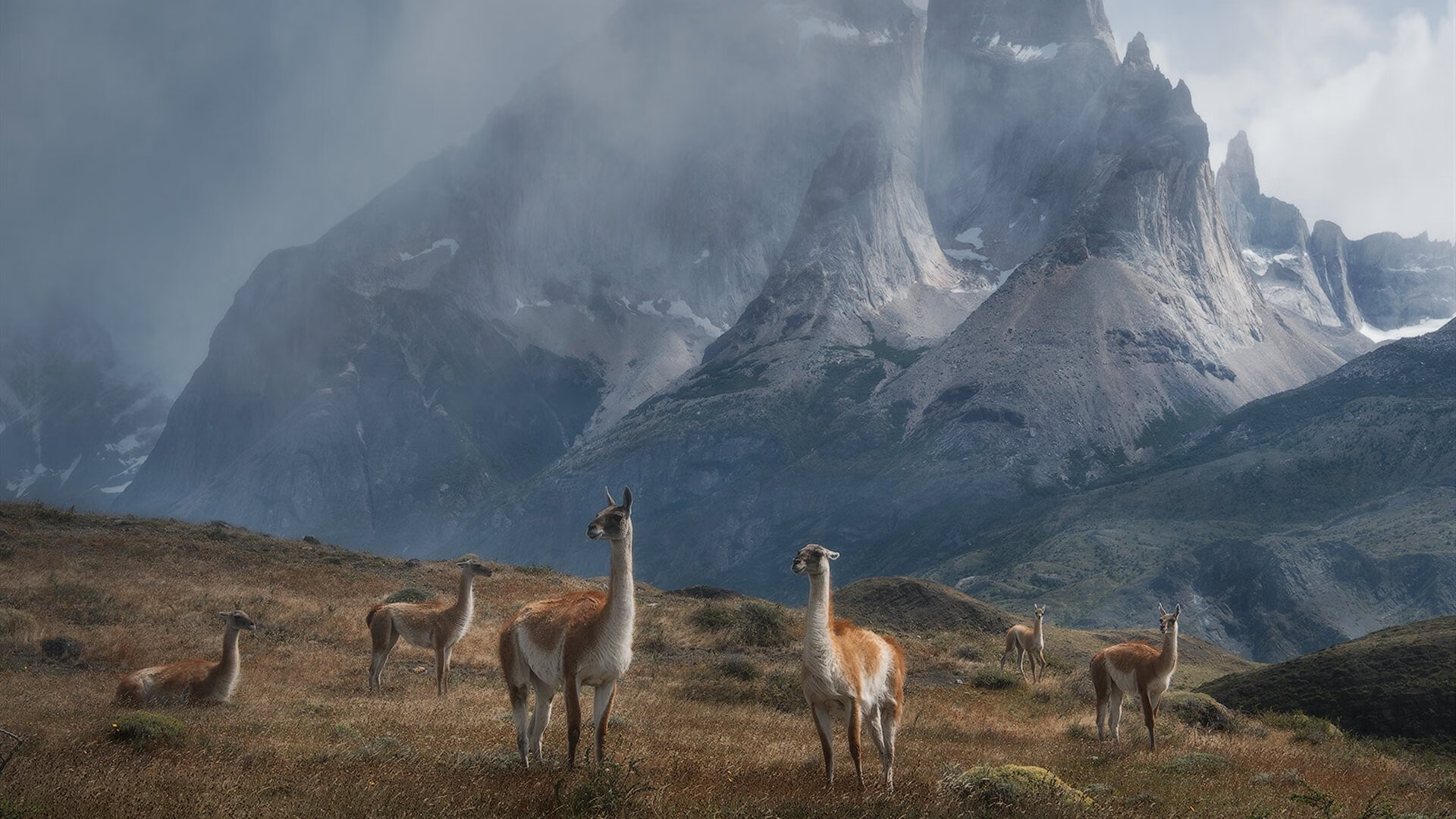 终场三分如惊雷！福克斯率灰熊逆转北京队