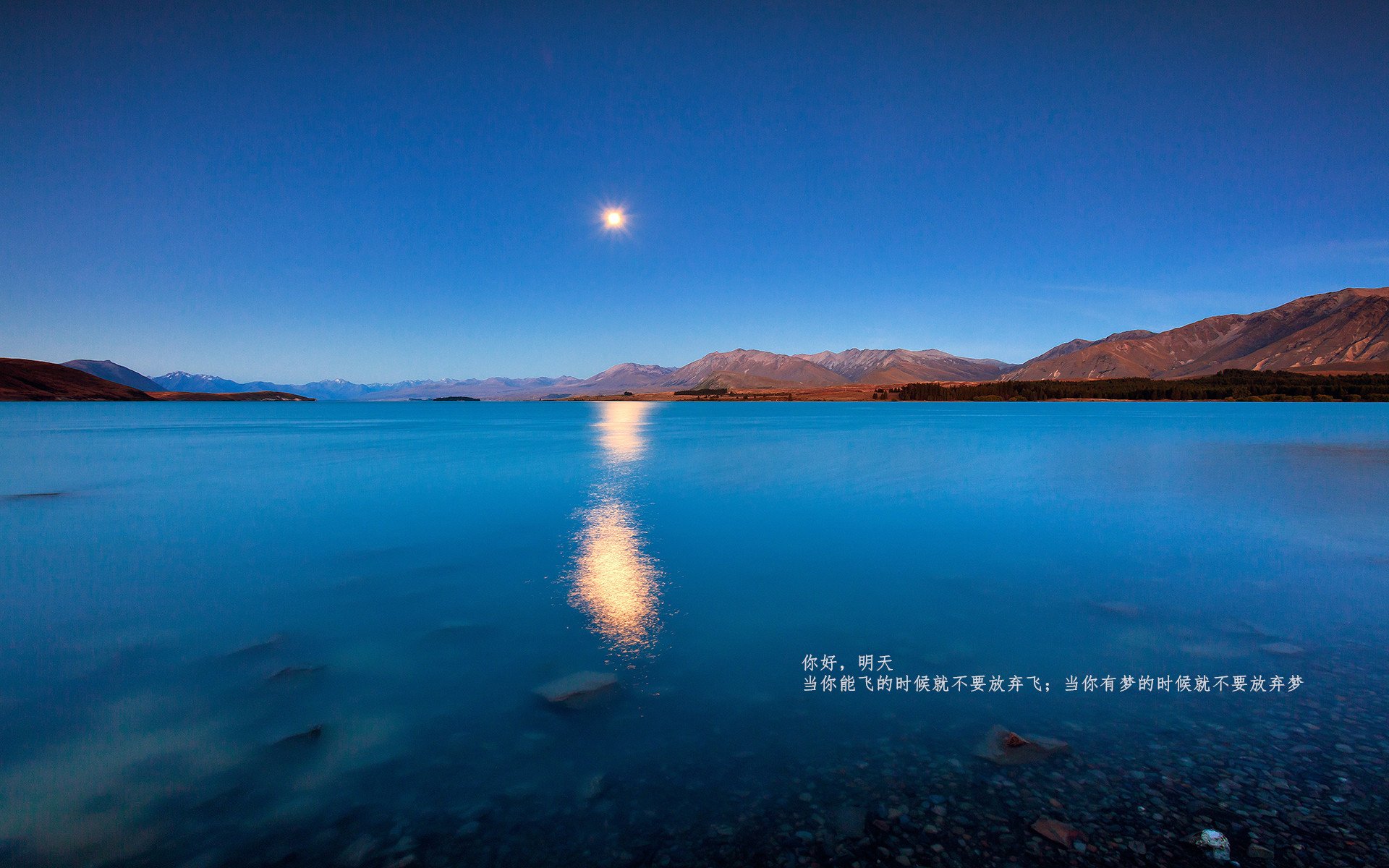 沙漠雄鹰智擒美洲豹，无名中场斯通斯导演战术奇迹