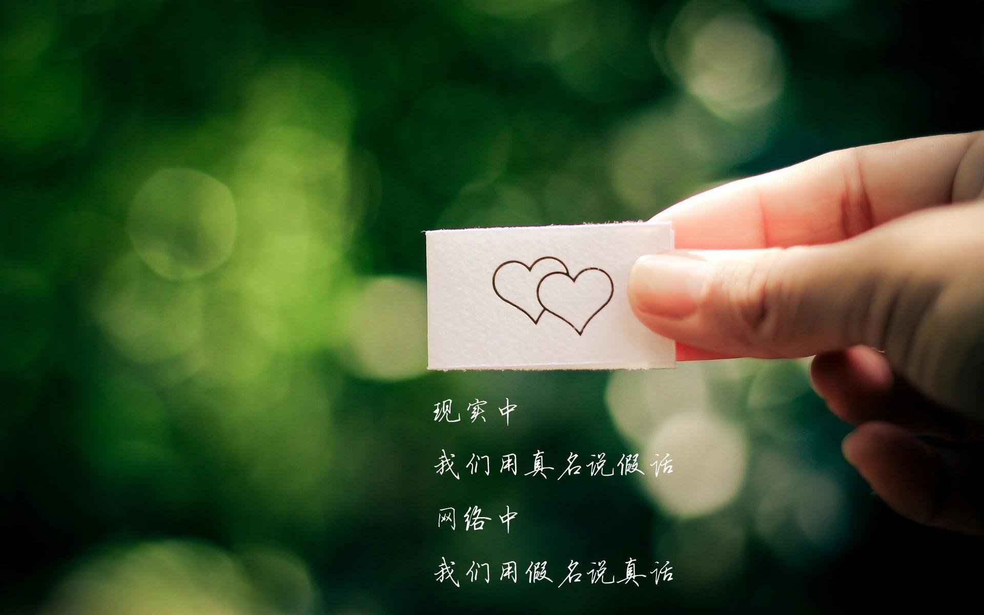 布克完美发挥，广厦队稳稳拿下鹈鹕