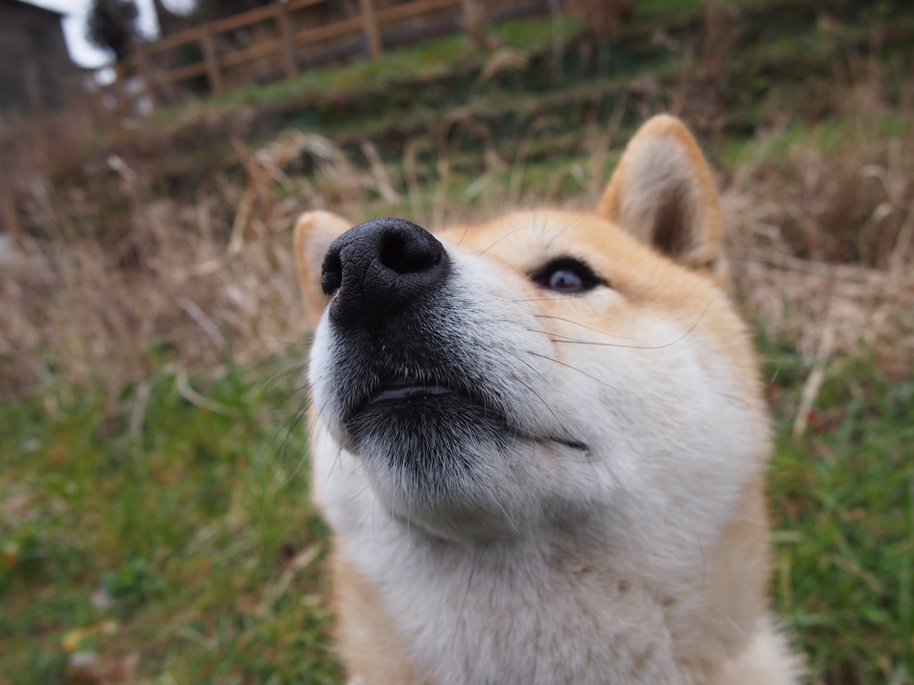 跨越重洋的共鸣，文班亚马的救赎与广东队的击溃