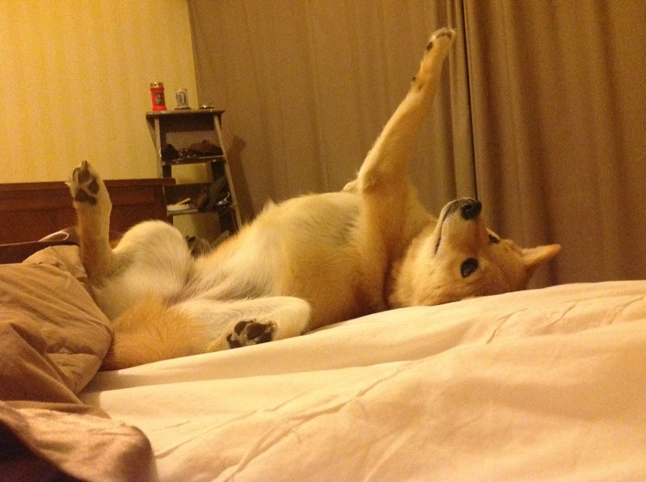 德罗赞以乔丹之名,加时鏖战演绎古典杀手的终极正名