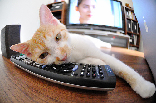 雷霆万钧破辽篮铁壁,当NBA季后赛强度撞上CBA巅峰