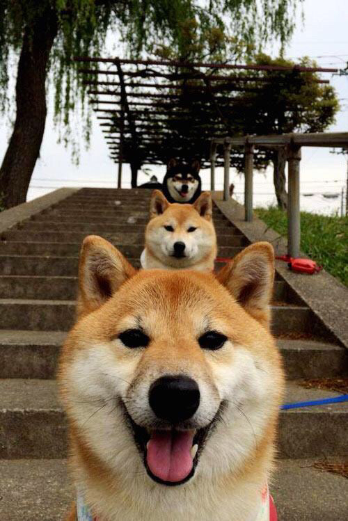 鏖战与蝶变，奥运周期关键战与绿茵启示录