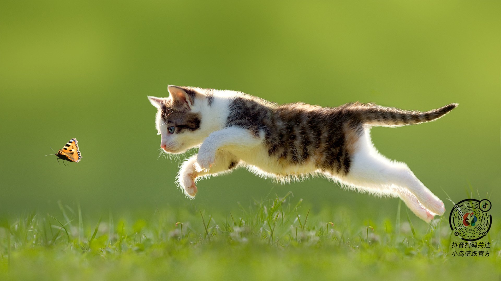 铁壁与魔法，当哥伦比亚的锁链遇见内马尔的冠冕