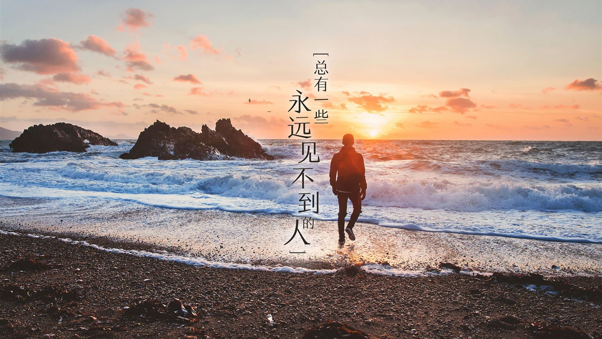 猛龙队总决赛焦点战大胜吉林队，展现冠军风范