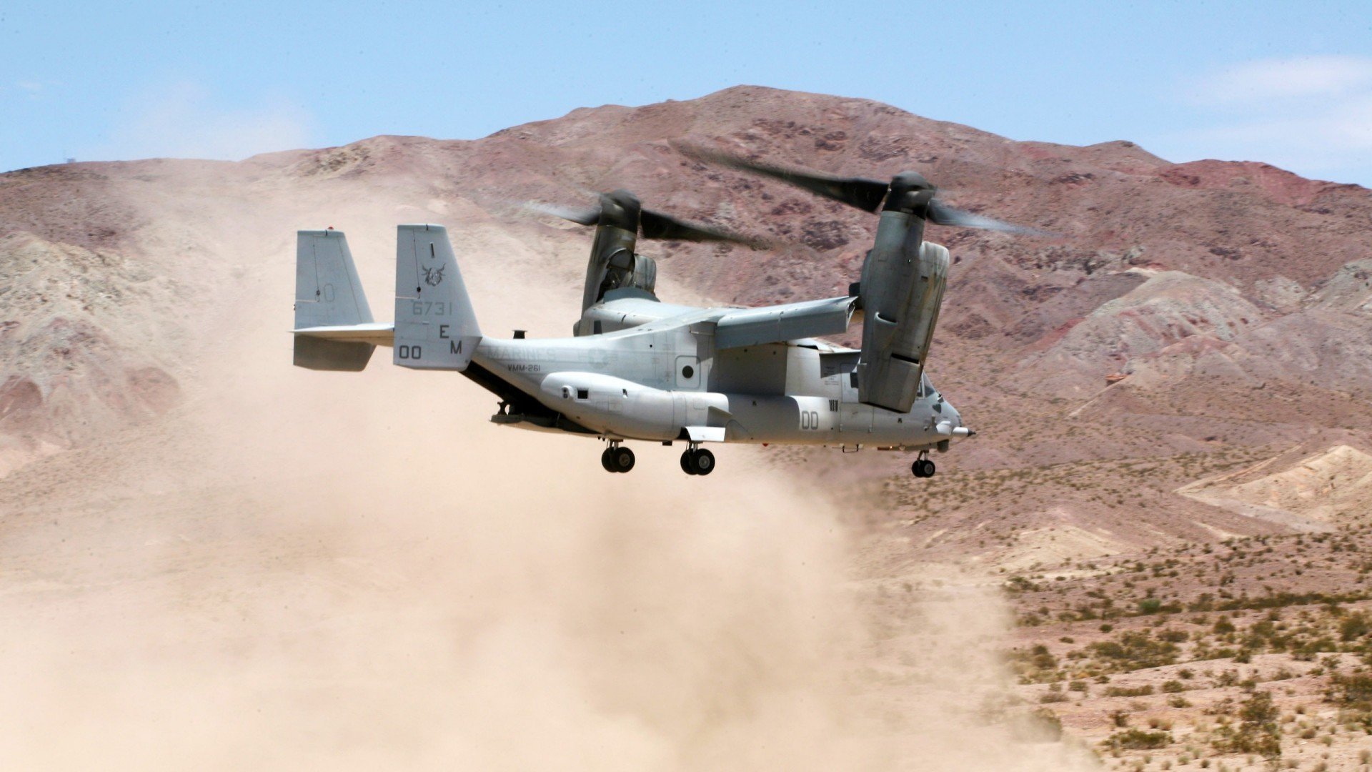 新大陆的馈赠，从洪都拉斯雨林到欧冠之巅的足球迁徙