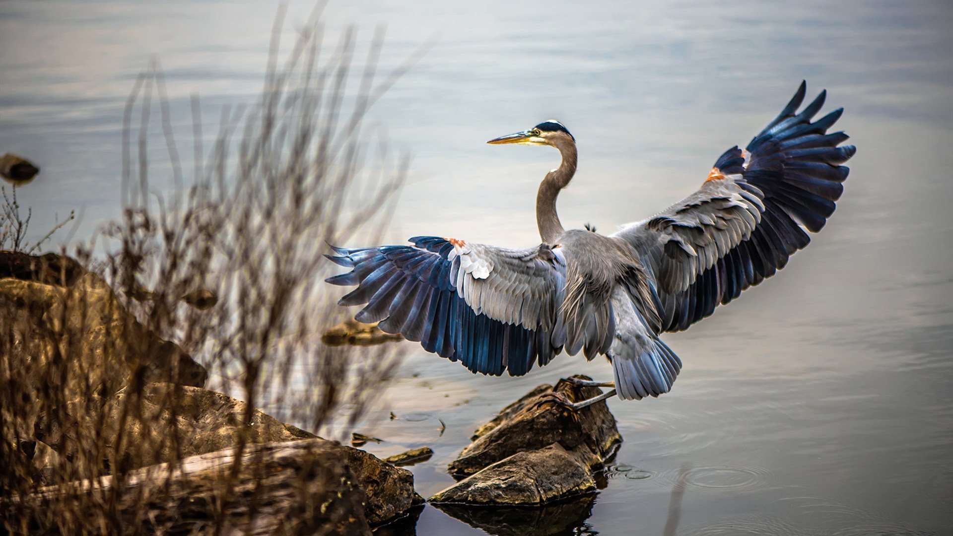 沉默的脊梁，霍勒迪如何在总决赛之夜扛起整个王朝的重量