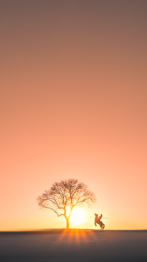 少年剑客斩落风浪，莫兰特在对阵浙江队的广厦之夜诠释篮球教科书