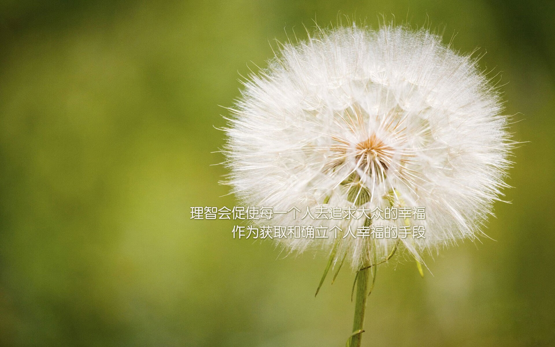 方向盘外，上海队速胜如何诠释F1赛道上的西亚卡姆时刻