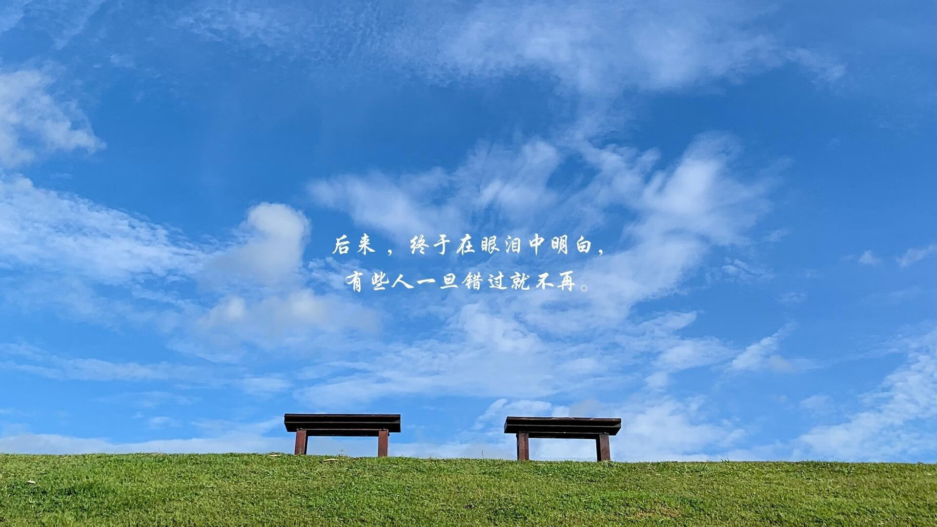 波斯铁骑扬威多哈,2026世界杯G组焦点战,伊朗力克突尼斯,迪亚斯一战封神